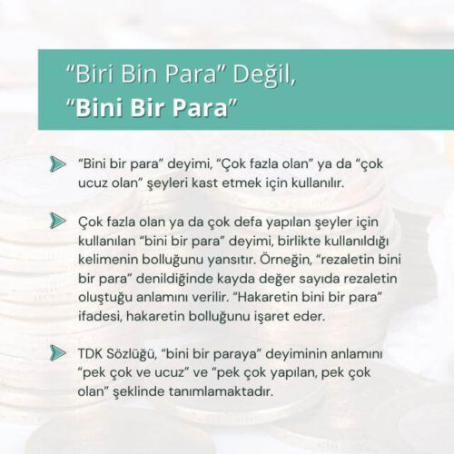 bini bir para anlamı