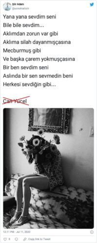 bir ben sevdim seni can yücel