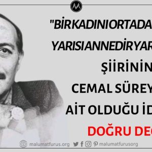Cemal Süreya’nın "Bir Kadını Ortadan İkiye Böl Yarısı Annedir Yarısı Çocuk" Şiirinin Yazarı Olduğu İddiası Doğru Değil