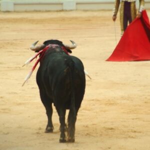 boga matador kirmizi