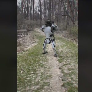 boston-dynamics-insansi-robot-sanilan