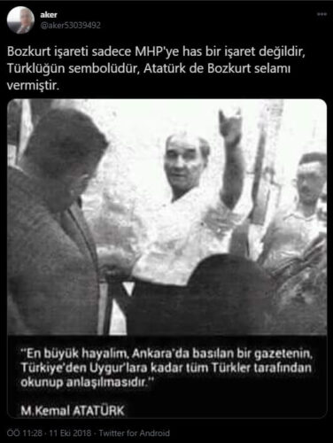 atatürk bozkurt işareti