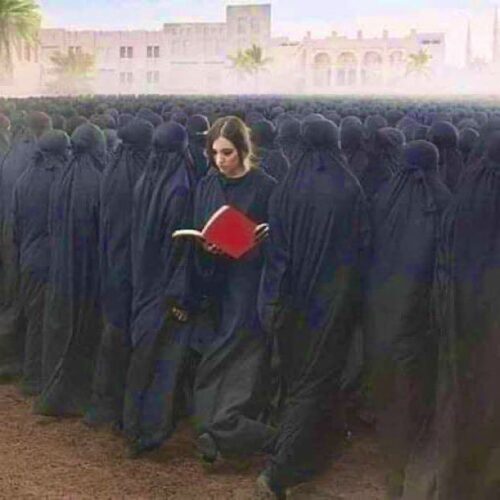 burka kadın kitap