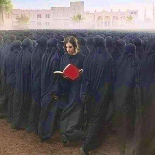 burka kadın kitap