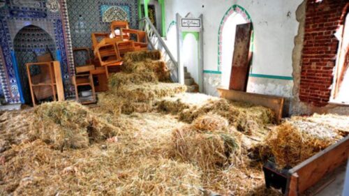 cami saman