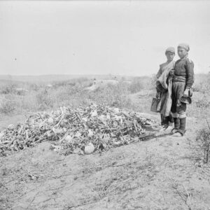 canakkale mezar kemik