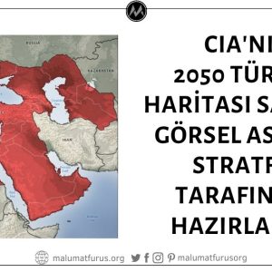 Görselin CIA'nın 2040 ya da 2050 Türkiye Haritası Olduğu İddiası Asılsız