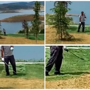 cim-boyama-hydroseeding