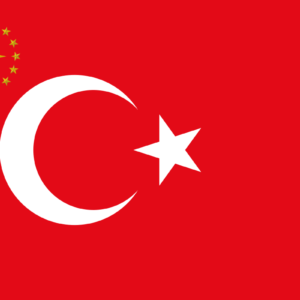 cumhurbaşkanlığı forsu