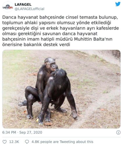 darıca hayvanat bahçesi haremlik selamlık maymunlar