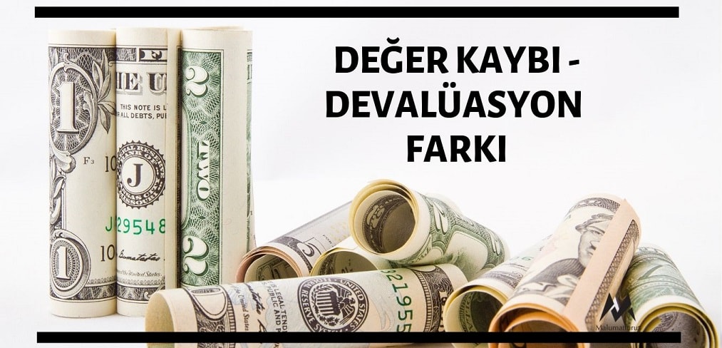 deger-kaybi-devaluasyon-farki