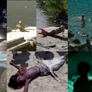 deniz-kizi-goruntuleri