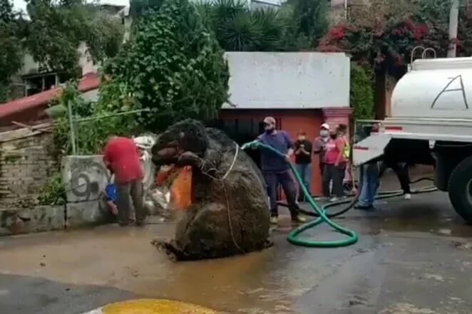 kanalizasyon dev sıçan