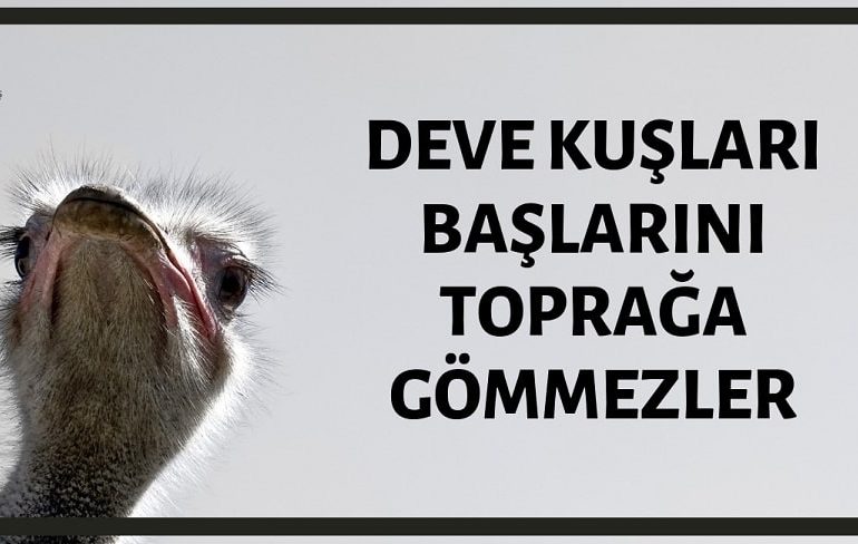 Deve Kuşlarının Başlarını Toprağa Gömdüğü İddiası Doğru Değildir