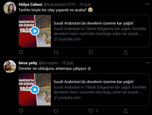 Develer ne olduğunu anlamaya çalışıyor