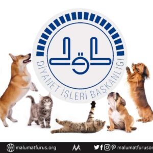 diyanet kedi kopek