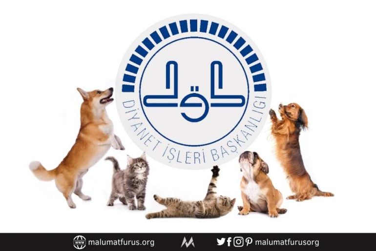 diyanet kedi kopek