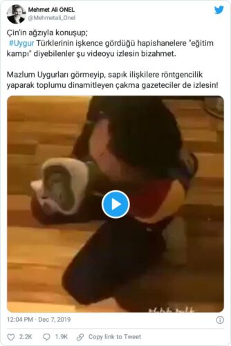 doğu türkistan bdsm