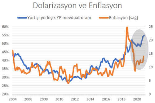 dolarizasyon enflasyon