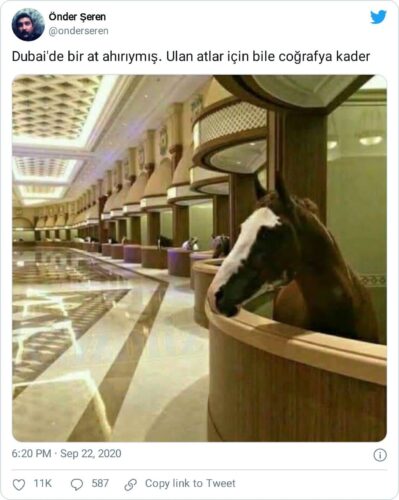 dubai at ahırı