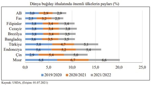 dunya bugday ithalati ulkeler