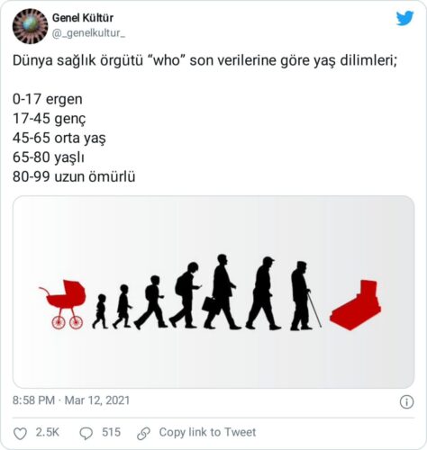 dünya sağlık örgütü yaş dilimleri