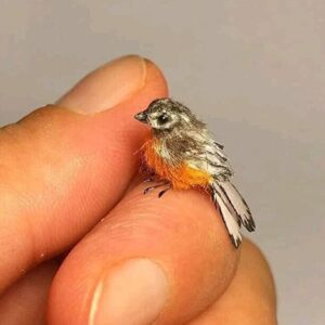 dunyanin en kucuk kusu minyatur