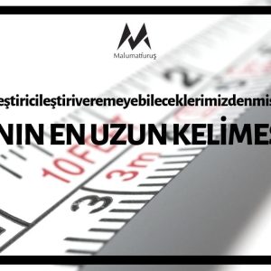 "Muvaffakiyetsizleştiricileştiriveremeyebileceklerimizdenmişsinizcesinesiniz"