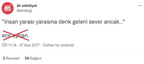 insan yarasına denk düşeni sever ancak