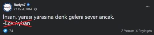 insan yarasına denk düşeni sever ancak