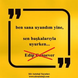 edip cansever ben sana uyandım yine sen başkalarıyla uyurken