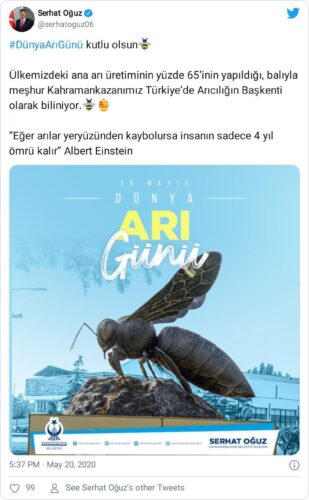 Arılar yeryüzünden kaybolursa insanoğlunun 4 yıl ömrü kalır