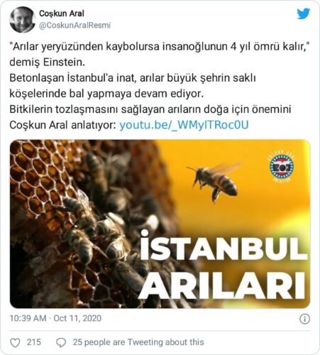 Arılar yeryüzünden kaybolursa insanoğlunun 4 yıl ömrü kalır