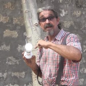 elektrik-ureten-agac-1-nisan-sakasi