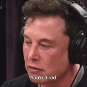 elon-must-you-are-fired