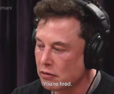 elon-must-you-are-fired
