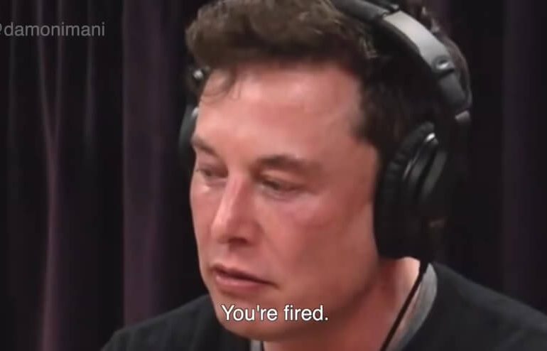 elon-must-you-are-fired