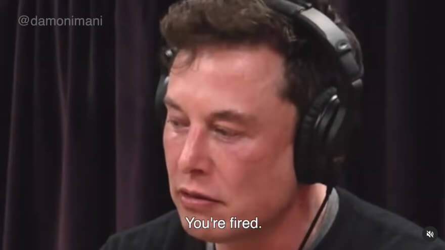 elon-must-you-are-fired