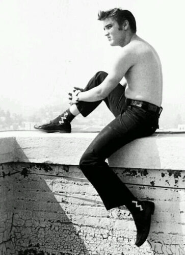elvis presley çatıda