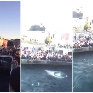 eminönü denize atlama yarışması