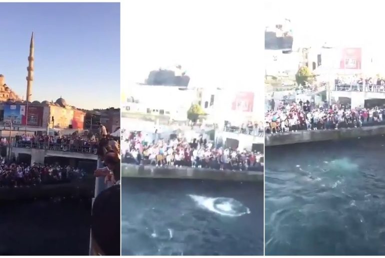 eminönü denize atlama yarışması