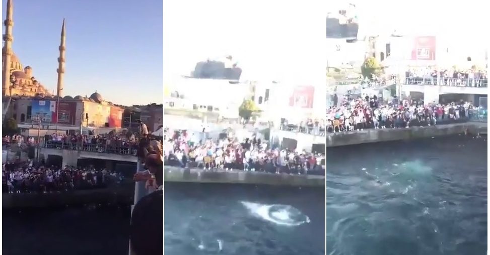 eminönü denize atlama yarışması