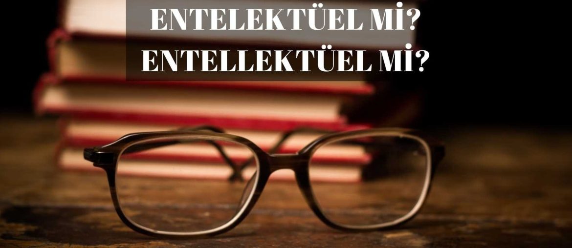 Entelektüel mi Entellektüel mi