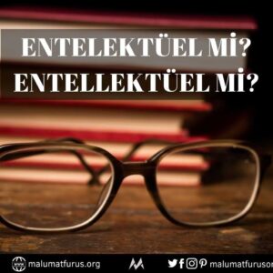 Entelektüel mi Entellektüel mi