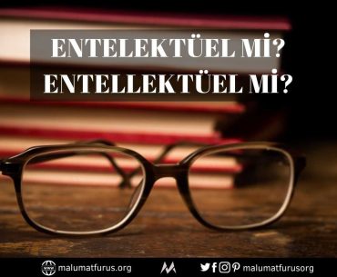 Entelektüel mi Entellektüel mi