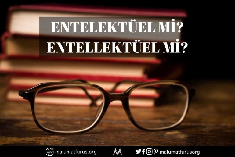 Entelektüel mi Entellektüel mi