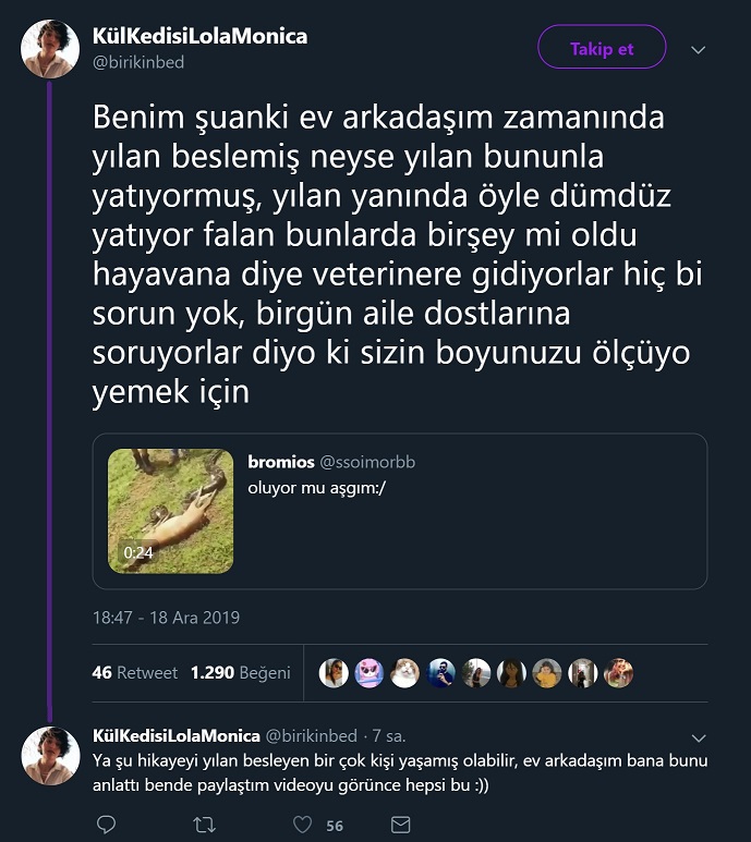 Ev sahibinin boyunu ölçerek yemeye hazırlanan yılan hikayesini aktaran paylaşım