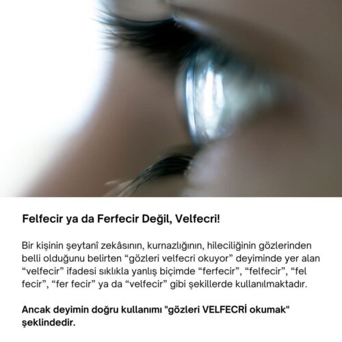 ferfecir velfecri