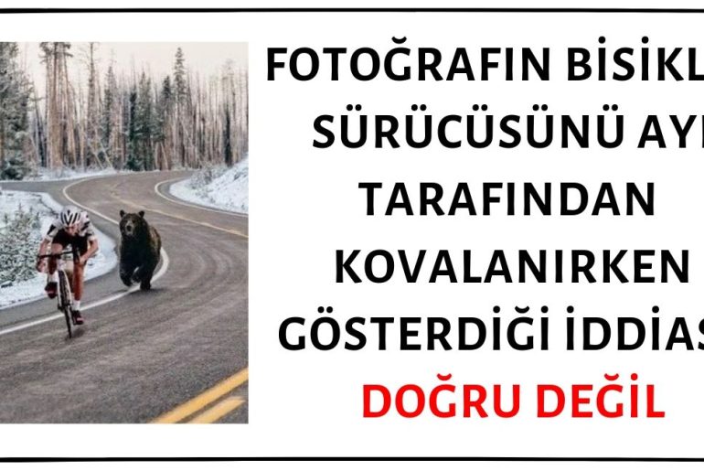 Fotoğraftaki Ayının Bisiklet Sürücüsünü Kovalarken Görüntülendiği İddiası Asılsız