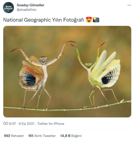 National Geographic yılın fotoğrafı